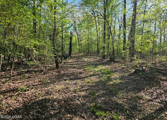 Property at 472-82 Seven Oaks Ln, Noel, MO 64854