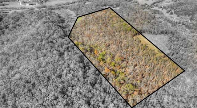 Photo of xx Miser Rd, Noel, MO 64854