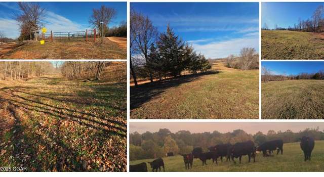 Photo of 40.192 Low Gap Rd, Noel, MO 64854