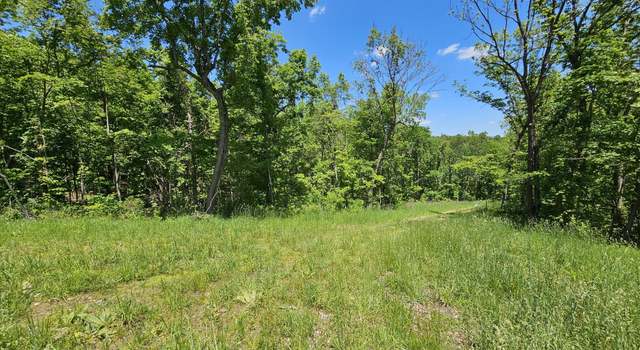 Photo of 690 Town Hollow Rd, Anderson, MO 64831