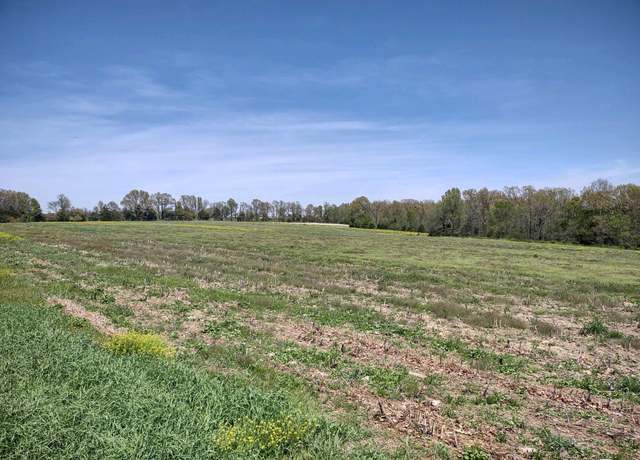 Property at Tbd Wiseman Rd Unit Tract 8, Marshfield, MO 65706