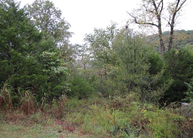 Property at Lot 3 Silver Oak Way, Branson West, MO 65737