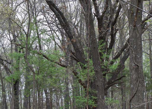 Property at Tract 3 W Farm Road 36, Willard, MO 65781