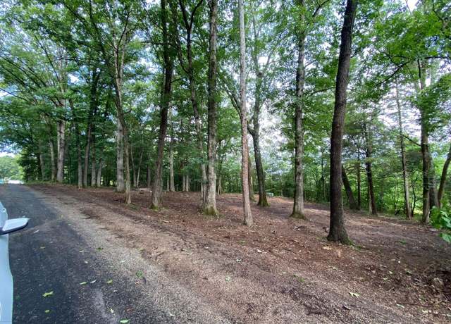 Property at Lot 100 Richmond Rd, Powersite, MO 65731