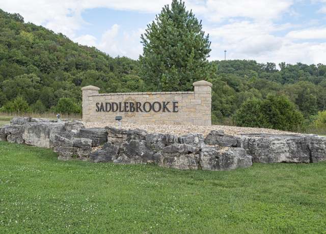 Property at 132 & 133 Seven Pines Dr, Saddlebrooke, MO 65630