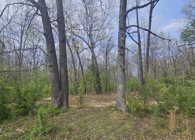 Property at 000 County Road 6110, West Plains, MO 65775