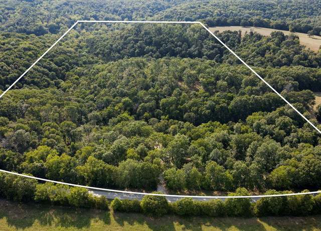 Property at 000 State Highway Pp, Galena, MO 65656