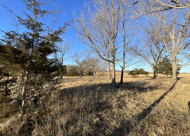 Property at 000 County Road 413, Alton, MO 65606