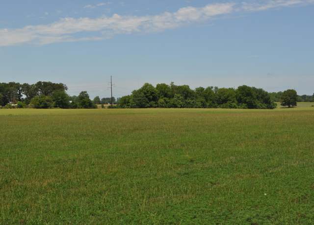 Property at Tract A Delzell Woods Rd, Rogersville, MO 65742