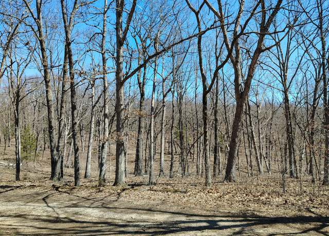 Property at 17740 Hwy 133, Dixon, MO 65459