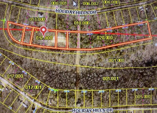 Property at 4.25 Acres Holiday Hls, Cape Fair, MO 65624