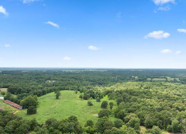 Property at 79.30 Acre Styles Rd, Noel, MO 64854