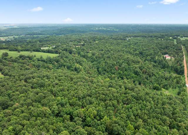 Property at 26.24 Acre Styles Rd, Noel, MO 64854