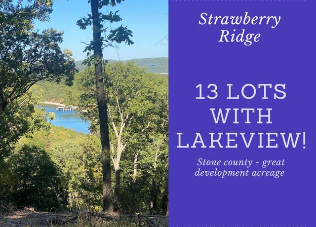 Property at Lot 1-13 Cassie Drive/strawberry Rdg, Lampe, MO 65681