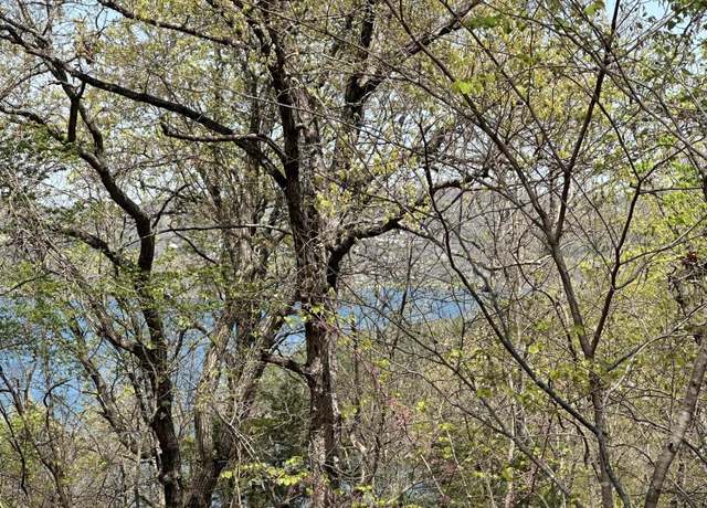 Property at Lot 75 Country Ln, Blue Eye, MO 65611