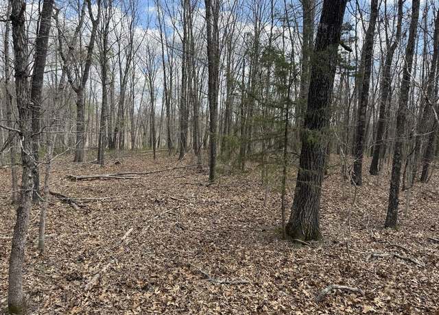 Property at Tract Iii Lot B, Rogersville, MO 65742
