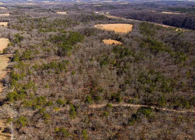 Property at 000 County Road 179, Dora, MO 65637