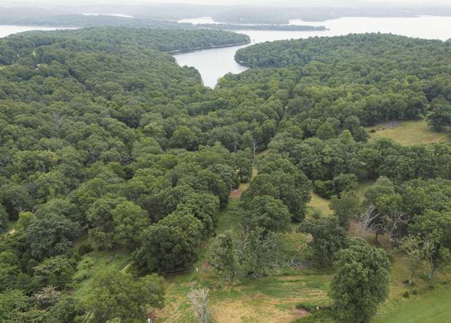 Property at 000 County Road 643, Theodosia, MO 65761