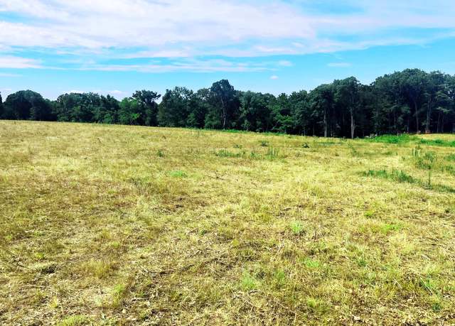 Property at Tbd Farm Road 1040, Exeter, MO 65647