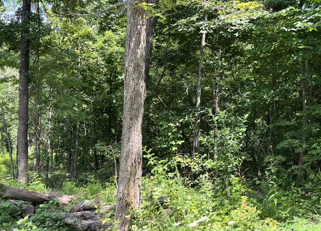 Property at Lot 45 Pr Ridge Hvn, Mammoth Spring, MO 72554