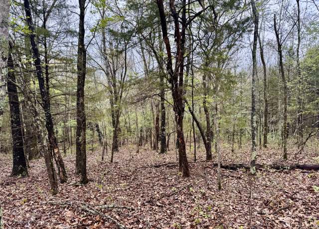 Property at Tbd State Highway U, Mansfield, MO 65704