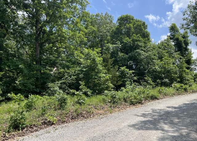 Property at 000 County Road 294, Urbana, MO 65767