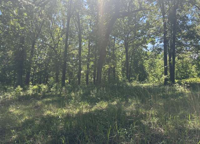 Property at Undisclosed address, Mammoth Spring, AR 72554