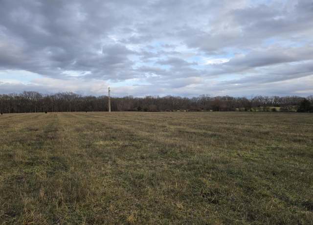 Property at Lot 1 Johns Ford Rd, Rogersville, MO 65742