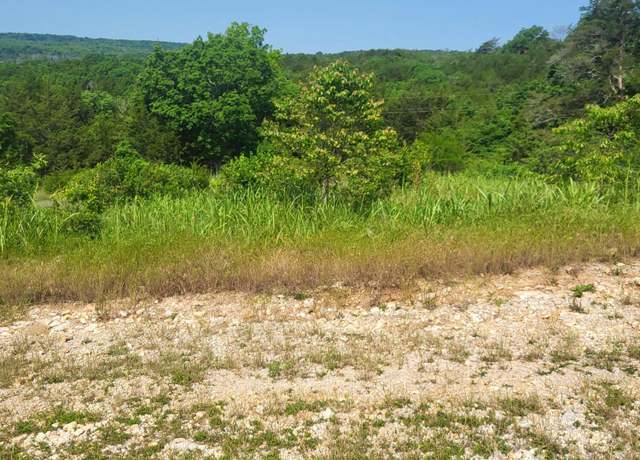 Property at 000 Cardinal Ln, Greenfield, MO 65661
