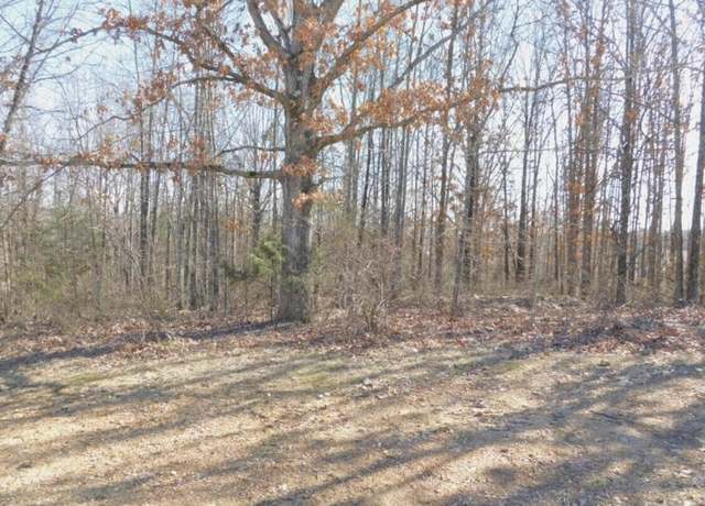 Property at Tbd Big Deer Run Lot 9, West Plains, MO 65775