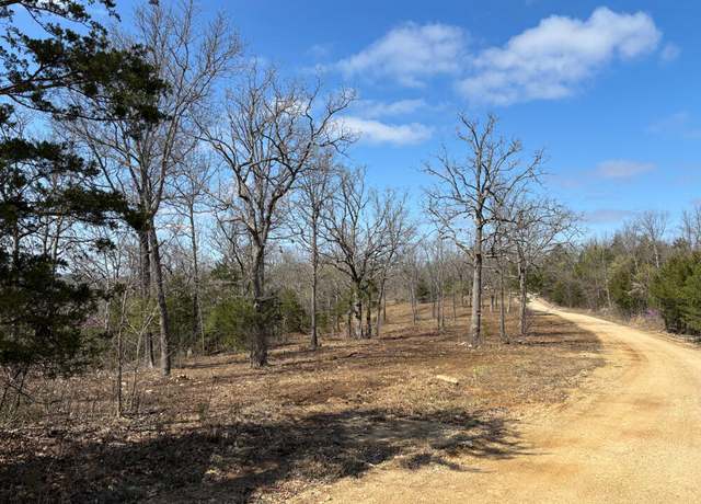 Property at 731 County Road 101, Gainesville, MO 65655