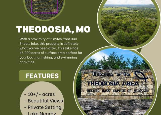 Property at 000 Box Car Ln, Theodosia, MO 65761