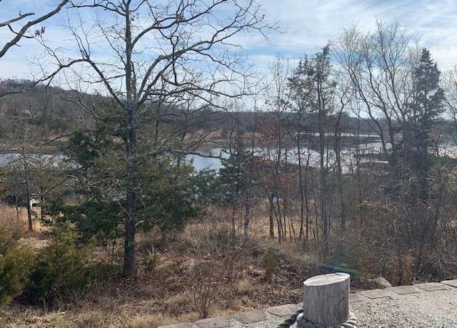 Property at Lot 1 Cedar Landing Subdivision, Branson, MO 65616