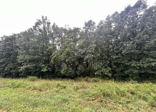 Property at 292 Walnut Springs Dr, Cape Fair, MO 65624