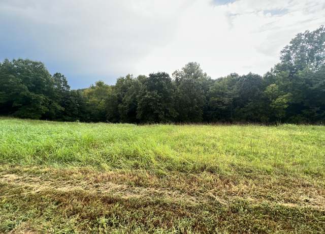 Property at 118 Panorama Dr, Cape Fair, MO 65624