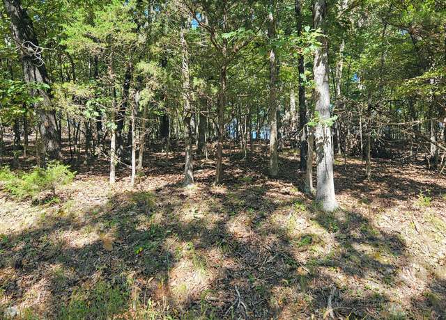 Property at 000 Tbd Brookside Cir, Theodosia, MO 65761