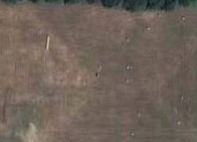 Property at 0000 Fr 227, Rogersville, MO 65742