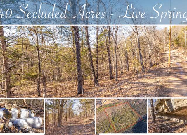 Property at 10349 Sinclair Ln, Omaha, AR 72662