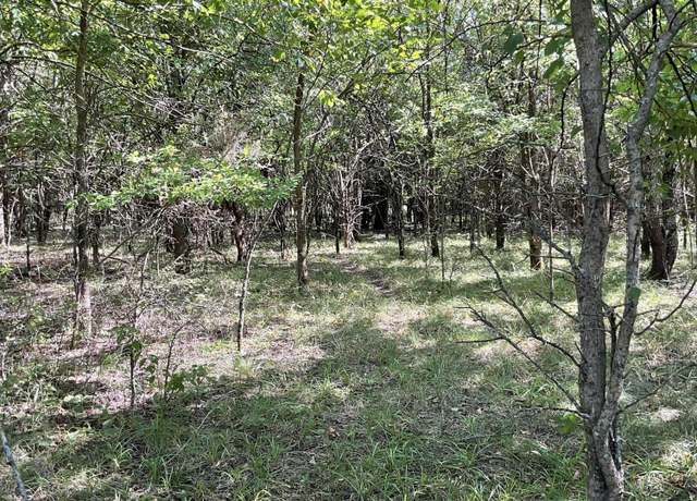 Property at 000 W Farm Road 116 - Tract 4, Bois D Arc, MO 65612
