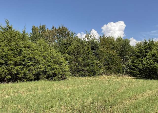 Property at 000 W Farm Road 116 - Tract B, Bois D Arc, MO 65612