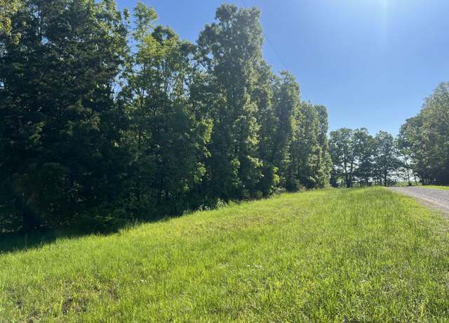 Property at 000 Co Rd 306 Pvt Dr A, Ava, MO 65608