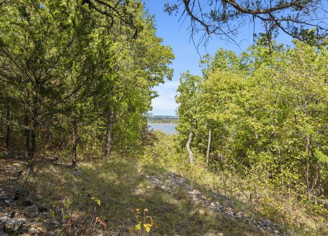 Property at 000 Pheasant Run Ln, Lampe, MO 65681