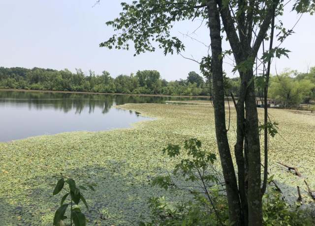 Property at 676 County Road 403, Alton, MO 65606