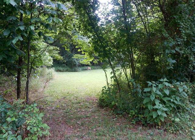 Property at 000 Hummingbird Ln, Branson, MO 65616