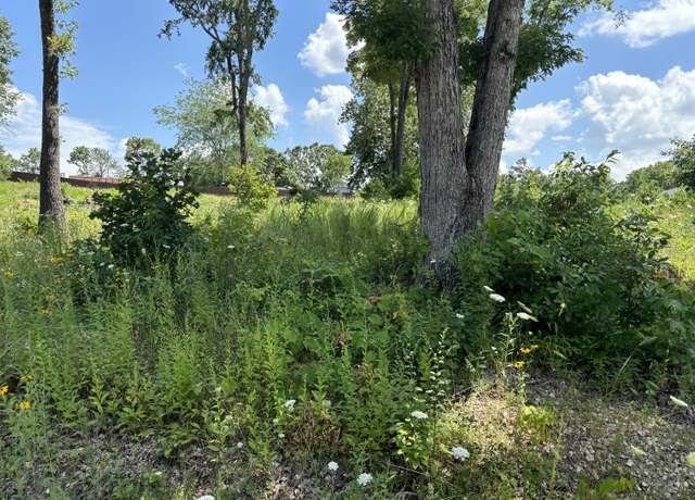 Property at 56 Northfork Ln, Shell Knob, MO 65747