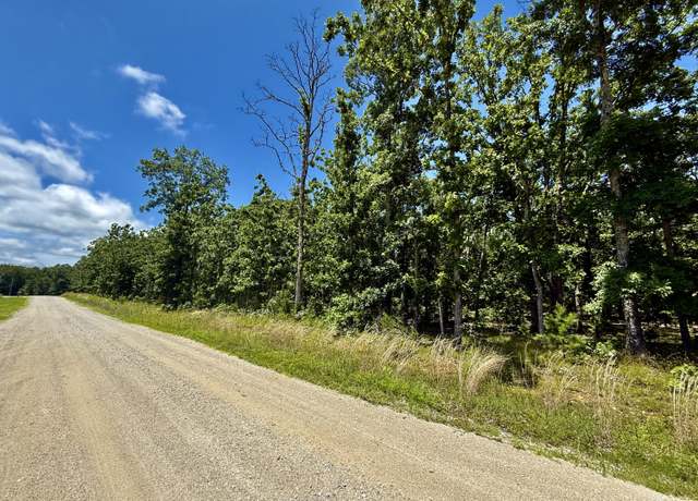 Property at 000 John David Dr, Licking, MO 65542