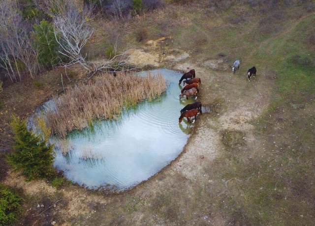 Property at 000 County Road 135 Rd, Norwood, MO 65717