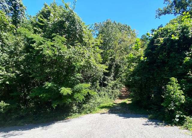 Property at 19 Moore Ln, Blue Eye, MO 65611