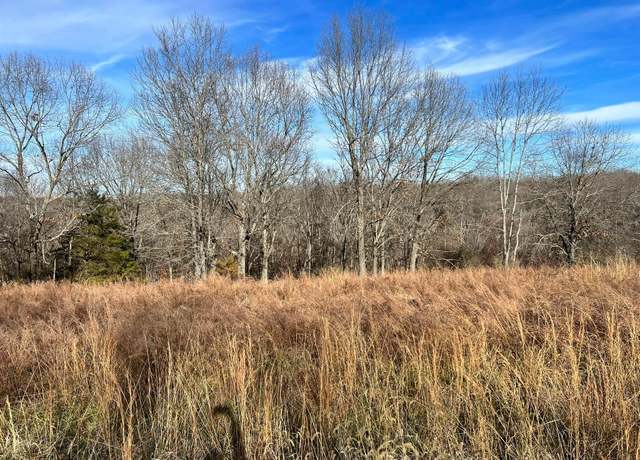 Property at Lot 9 Middlegate Pl, Branson West, MO 65737