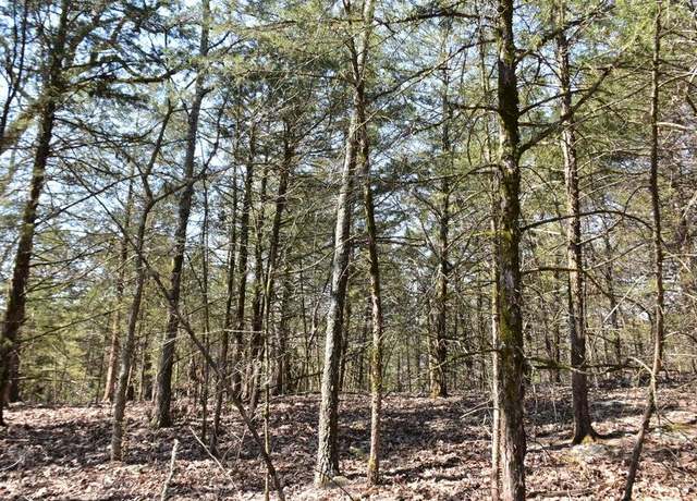 Property at 000 Us Highway 65, Highlandville, MO 65669